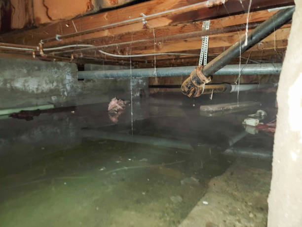 Best Emergency water damage restoration  in Rhome, TX