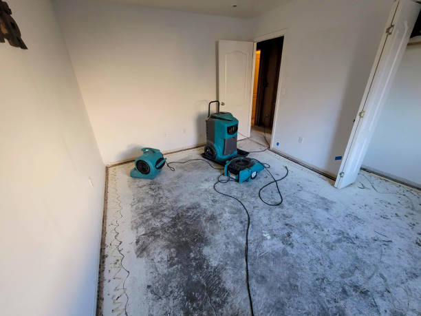 Best Water damage restoration process  in Rhome, TX