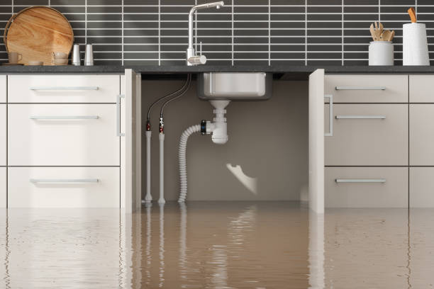 Best Mold removal after water damage  in Rhome, TX